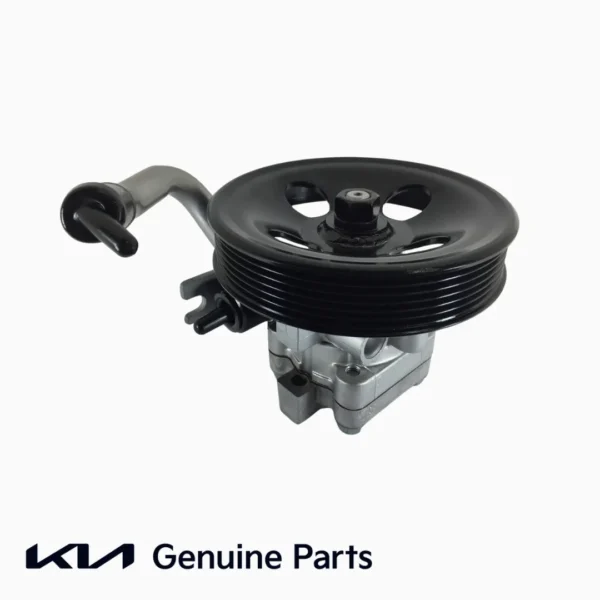 Bomba dirección hidráulica 57110-4D900 Kia Carnival 2.2 diésel